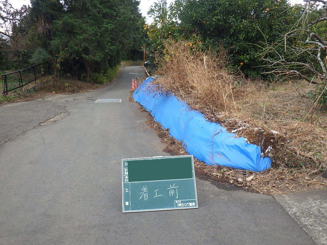 rimg7331.jpg
