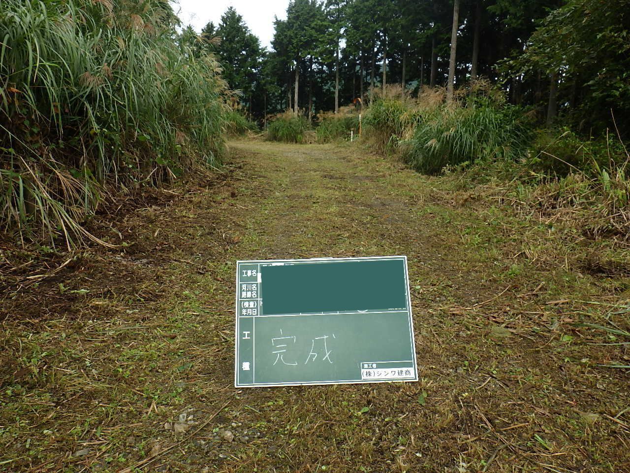 施工事例：津波避難路整備